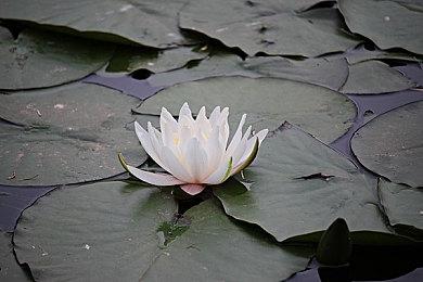 传闻：《霍格沃茨之遗》续作正在开发当中